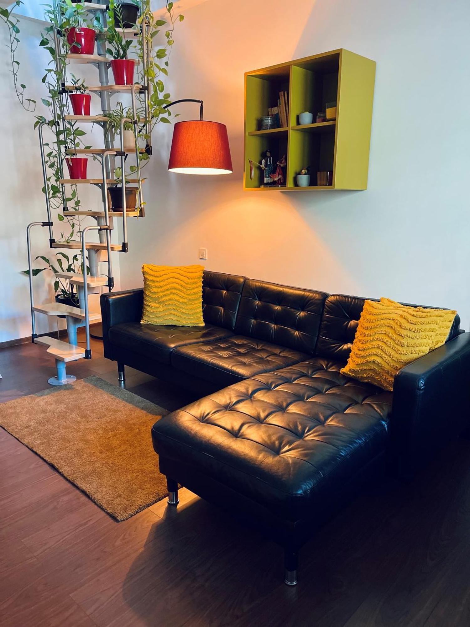 City Garden Apartments بوخارست المظهر الخارجي الصورة