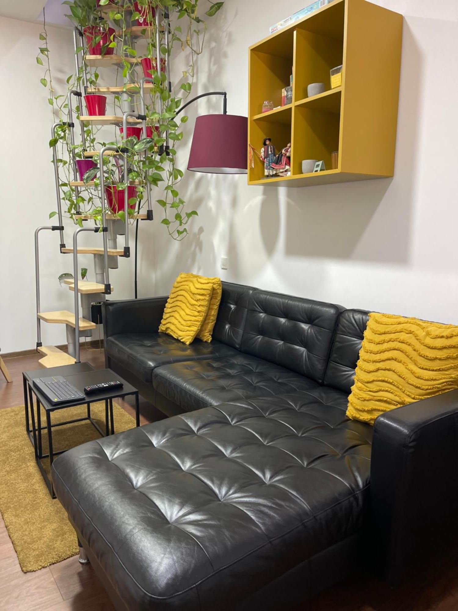 City Garden Apartments بوخارست المظهر الخارجي الصورة