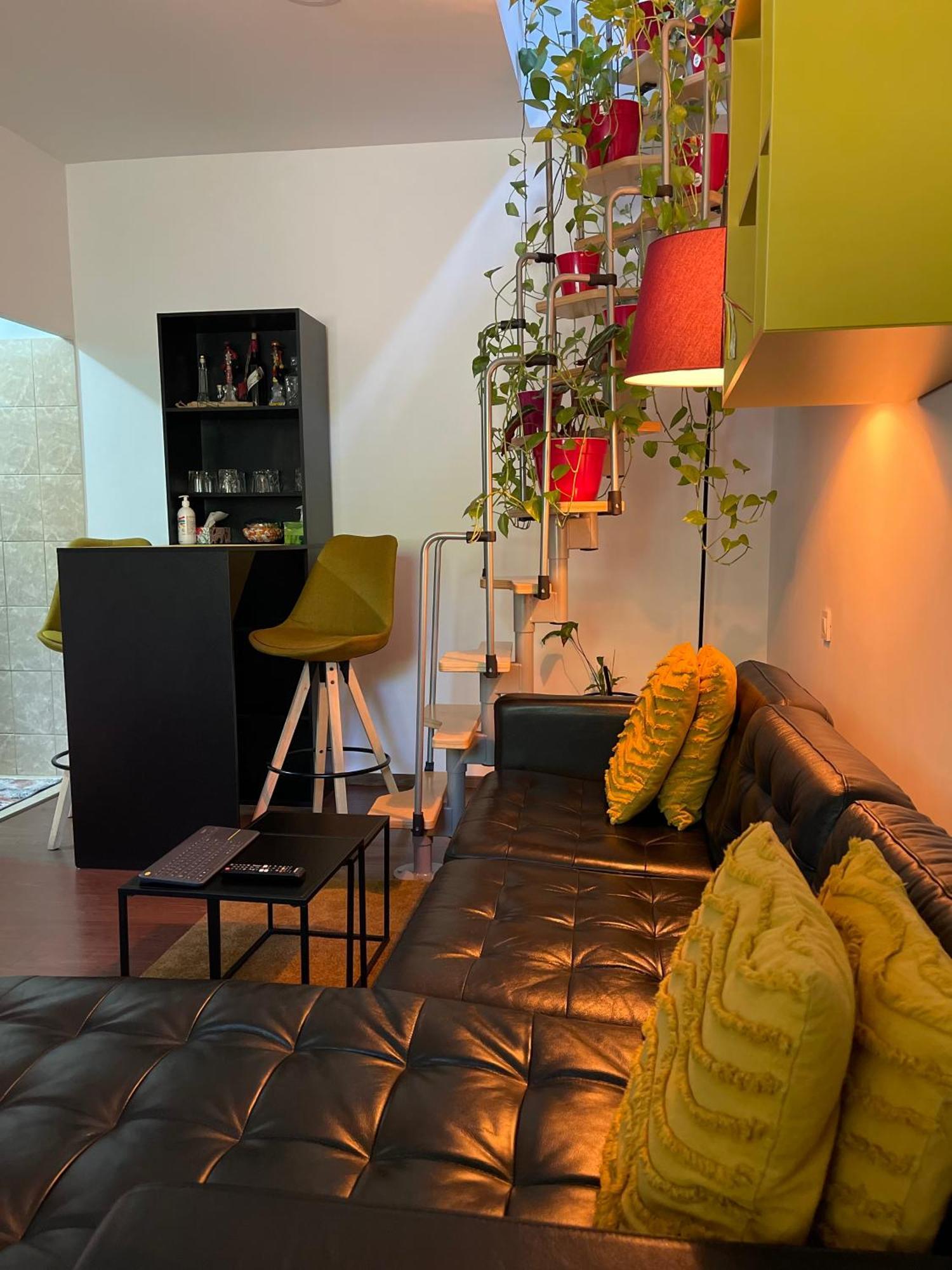 City Garden Apartments بوخارست المظهر الخارجي الصورة