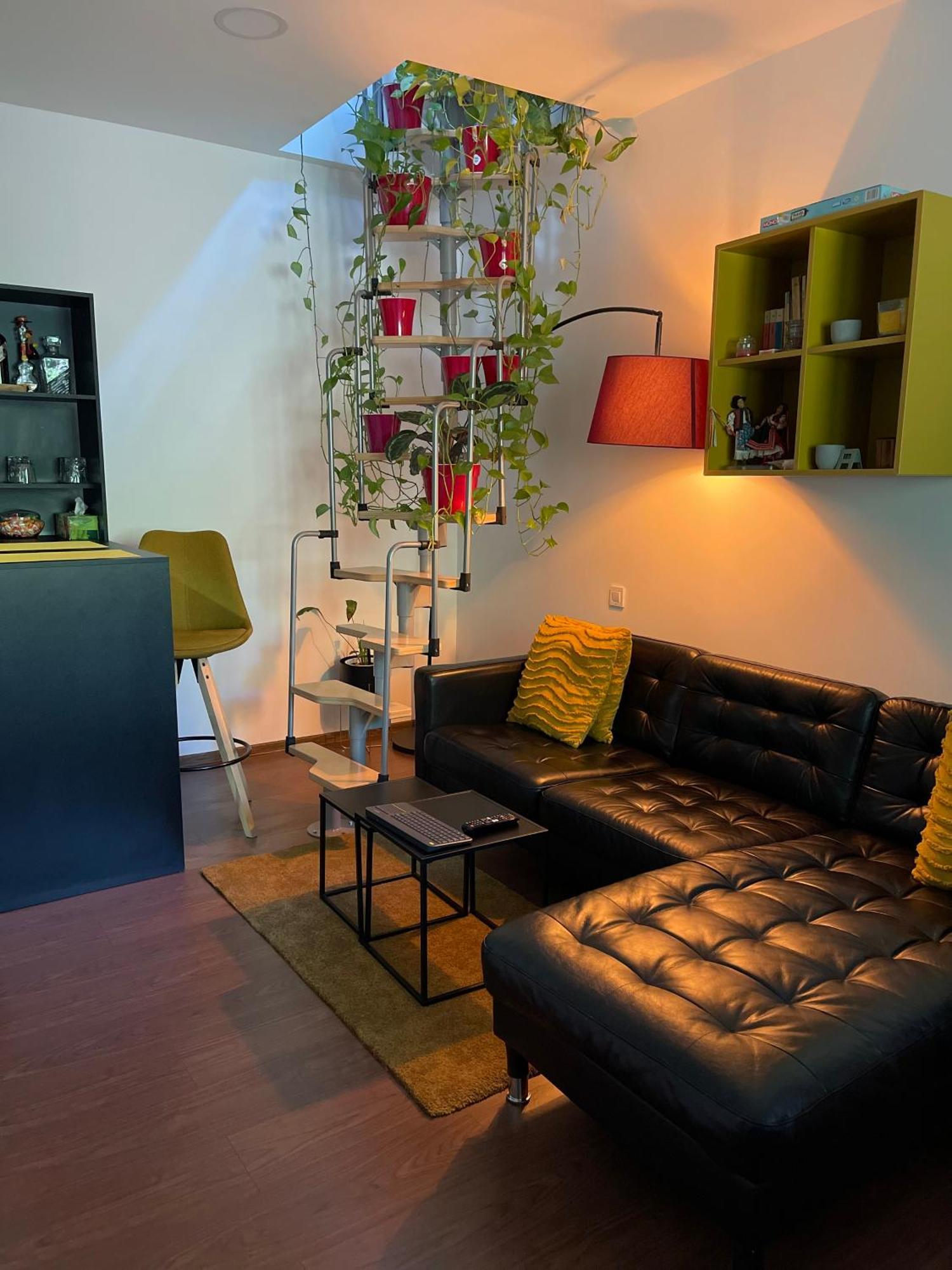 City Garden Apartments بوخارست المظهر الخارجي الصورة