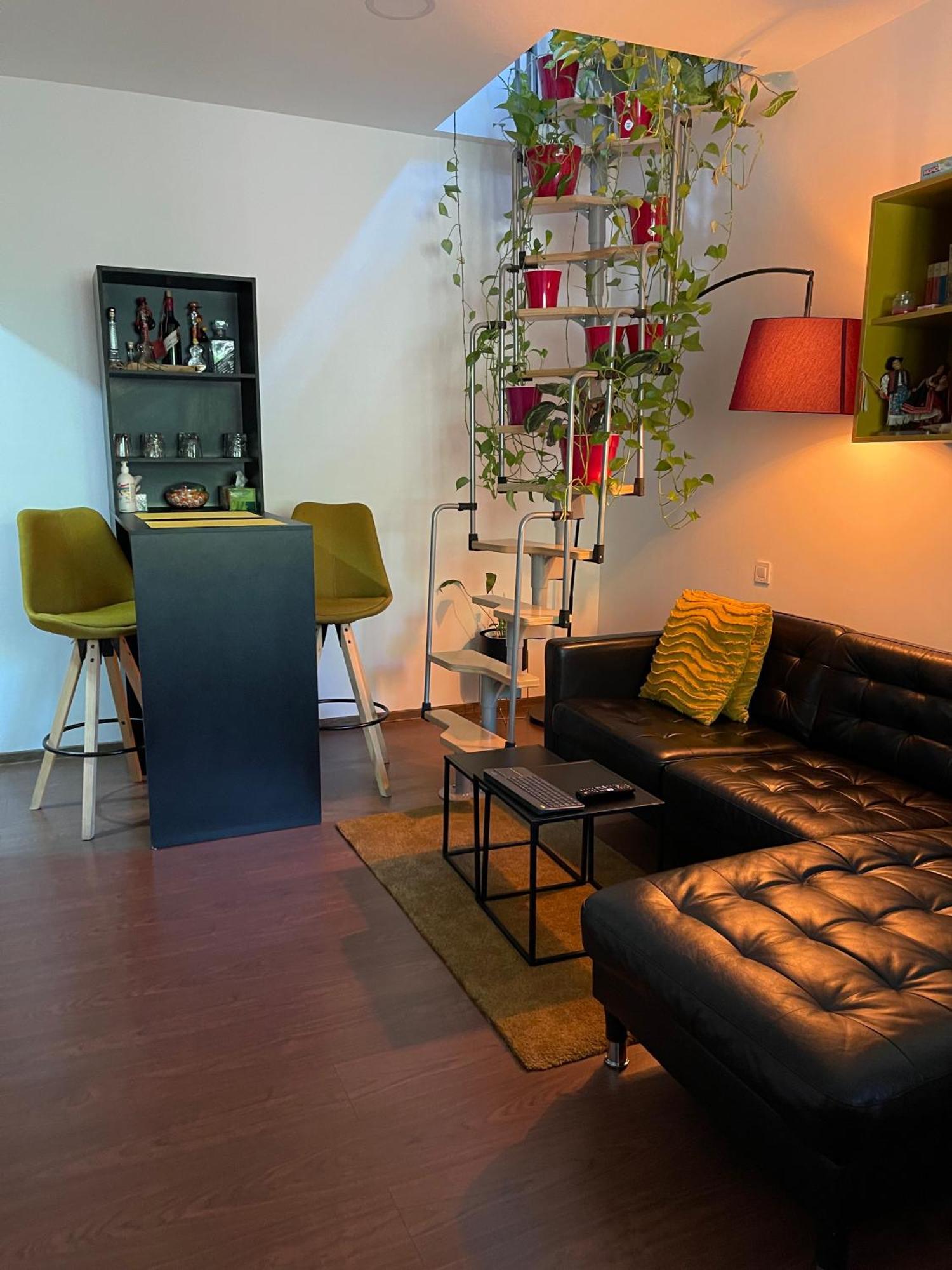 City Garden Apartments بوخارست المظهر الخارجي الصورة